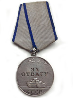 Награда Степана Елисеевича Капустина: Медаль «За отвагу»
